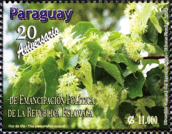 Slovak Republic Independence. Tilia Flowers