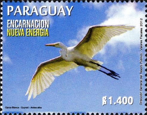 Great Egret (Ardea alba)