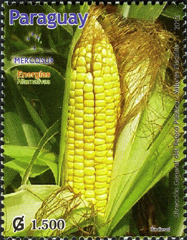Mercosur 2013 Biodiesel from Maize