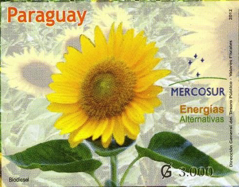 Biodiesel from Helianthus annuus