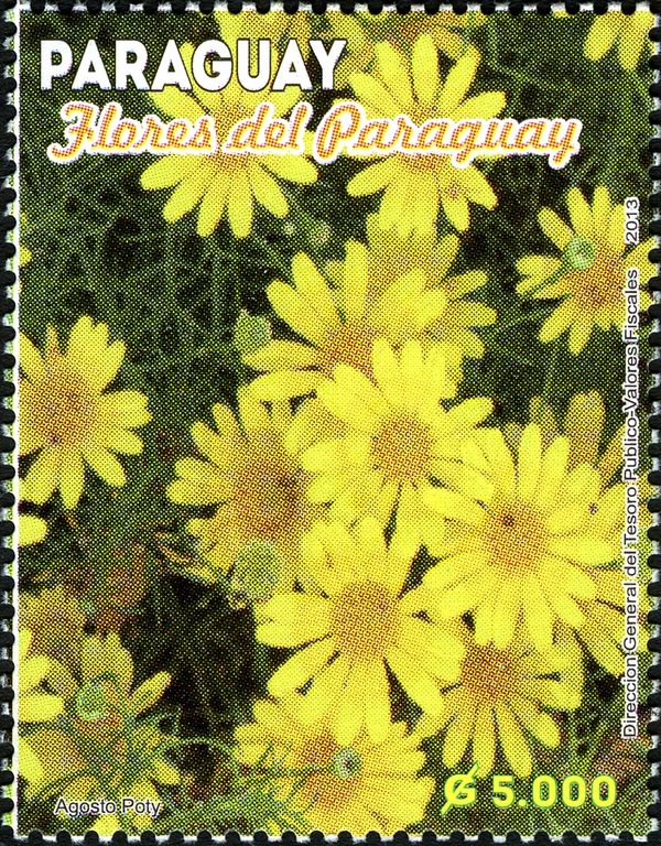 Flowers from Paraguay