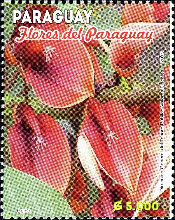 Flowers from Paraguay