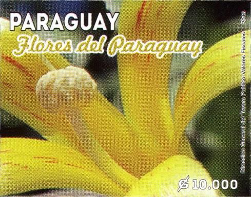 Flowers from Paraguay