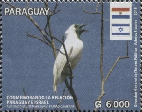 Bare-throated Bellbird (Procnias nudicollis)