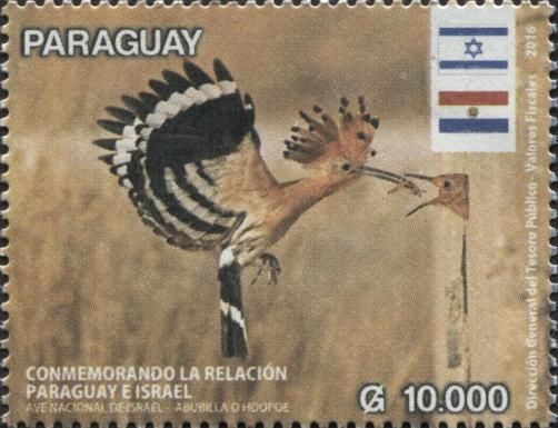 Eurasian Hoopoe (Upupa epops)
