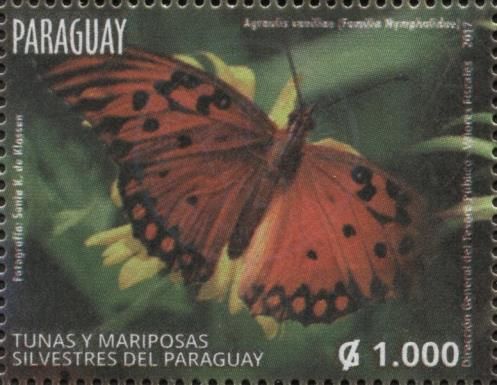 Gulf Fritillary (Agraulis vanillae)