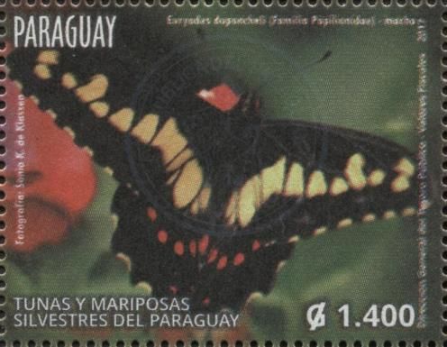Euryades duponchelii