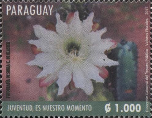Youth Movement Promotion