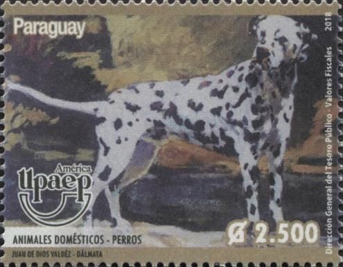 Dalmatian