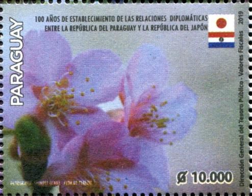 Lapacho Flower