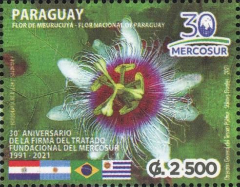 Mburucuyá. National Flower of Paraguay