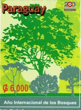 International Year of Forests