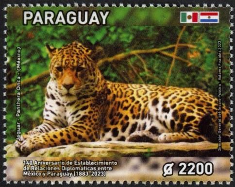 Jaguar (Panthera onca)
