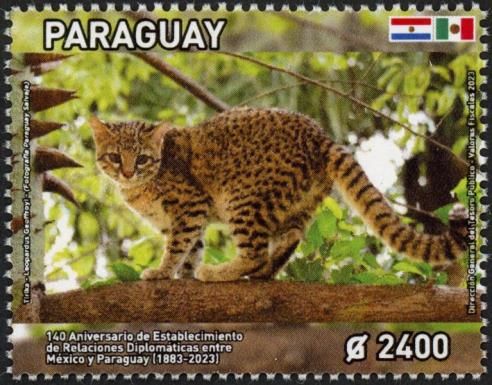 Geoffroy's Cat (Leopardus geoffroyi)