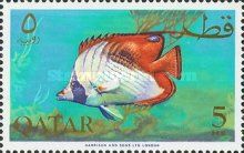 Threadfin Butterflyfish (Chaetodon auriga)