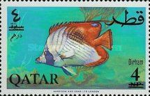 Threadfin Butterflyfish (Chaetodon auriga)