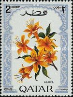 Azaleas