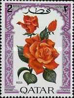 Roses