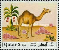 Dromedary (Camelus dromedarius)