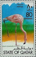 American Flamingo (Phoenicopterus ruber)