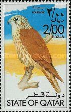Common Kestrel (Falco tinnunculus)