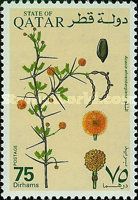 Acacia ehrenbergiana