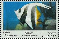 Pennat Coralfish (Heniochus acuminatus)