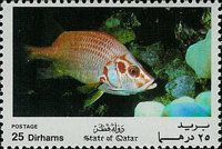 Red Soldier Fish (Holocentrus rubrum)
