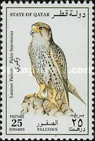Lanner Falcon (Falco biarmicus)