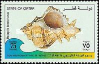 Kuester's Murex (Hexaplex kuesterianus)