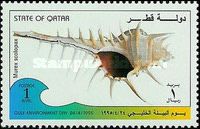 False Venus Comb (Murex scolopax)