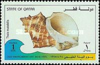 Carinate Rock Shell (Thais mutabilis)