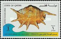 Giant Spider Conch (Lambis truncata sebae)