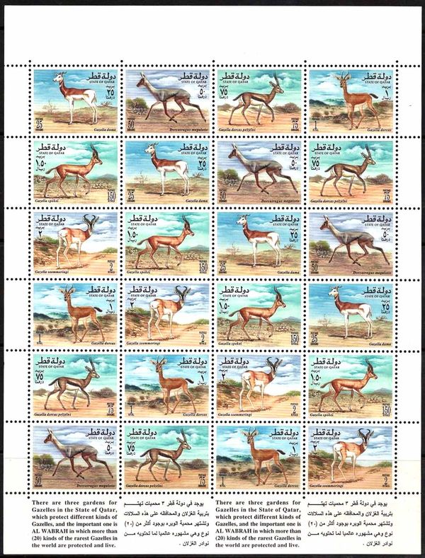 Gazelles of Qatar
