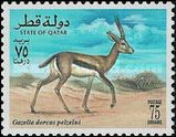 Saharan Dorcas Gazelle (Gazella dorcas pelzelni)