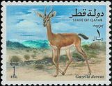 Dorcas Gazelle (Gazella dorcas)