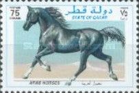 Black horse