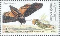 Eastern Death’s-head Hawkmoth (Acherontia styx) 