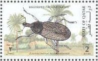Pinstriped Ground Weevil (Ammocleonus aschabadensis)