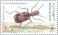 Rufous Bombardier Beetle (Brachynus nobilis)