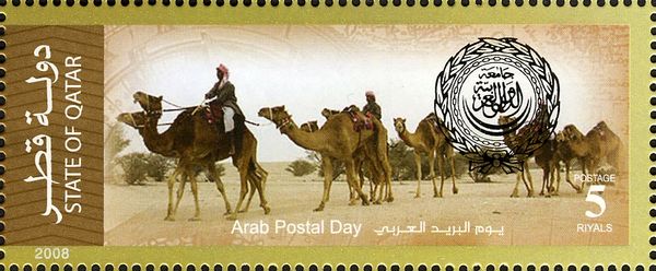 Dromedary (Camelus dromedarius)