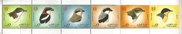 Birds