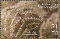 Phylum : cnidaire