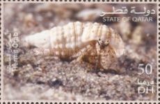 Hermit Crab