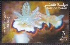 Sea Slug