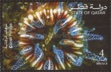 Coral Polyps