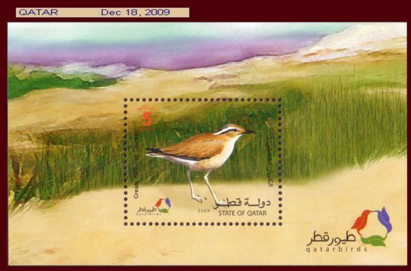 Cream-colored Courser (Cursorius cursor)