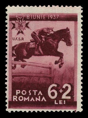 Showjumping