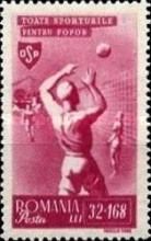 Volleyball