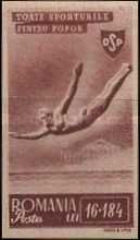 Diving